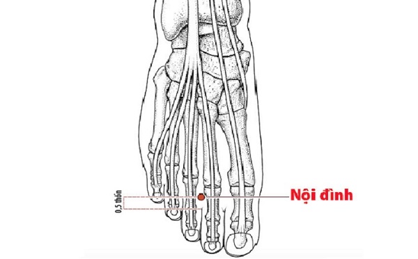 Huyệt Nội Đình - trên mu bàn chân, chữa bệnh liệt dây thần kinh số 7