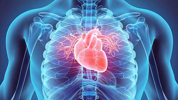 Nguy cơ gây ảnh hưởng tới sức khoẻ tim mạch