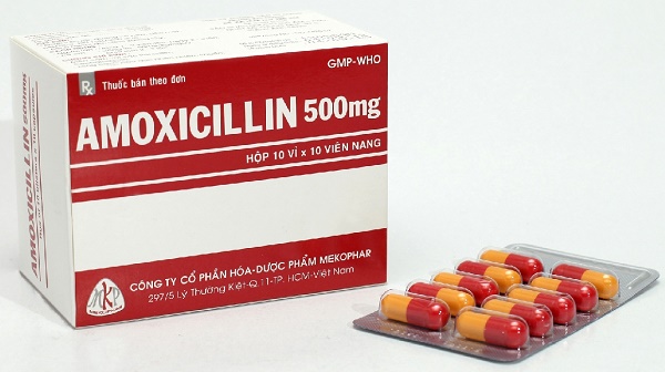 Amoxicillin là một loại kháng sinh rất thông dụng thuộc nhóm Beta - lactam